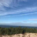 Lawendowa * Sasino