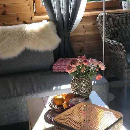 Lawendowa Сашино