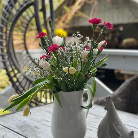 Lawendowa Casa de Férias Sasino